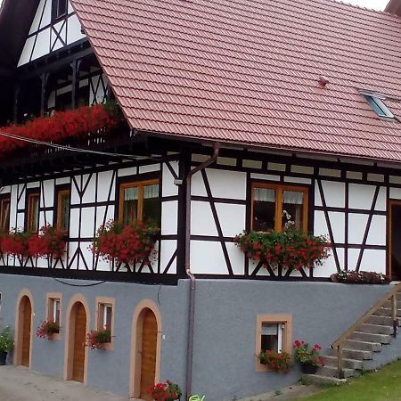 Steinhof Apartment Oberkirch  Ngoại thất bức ảnh