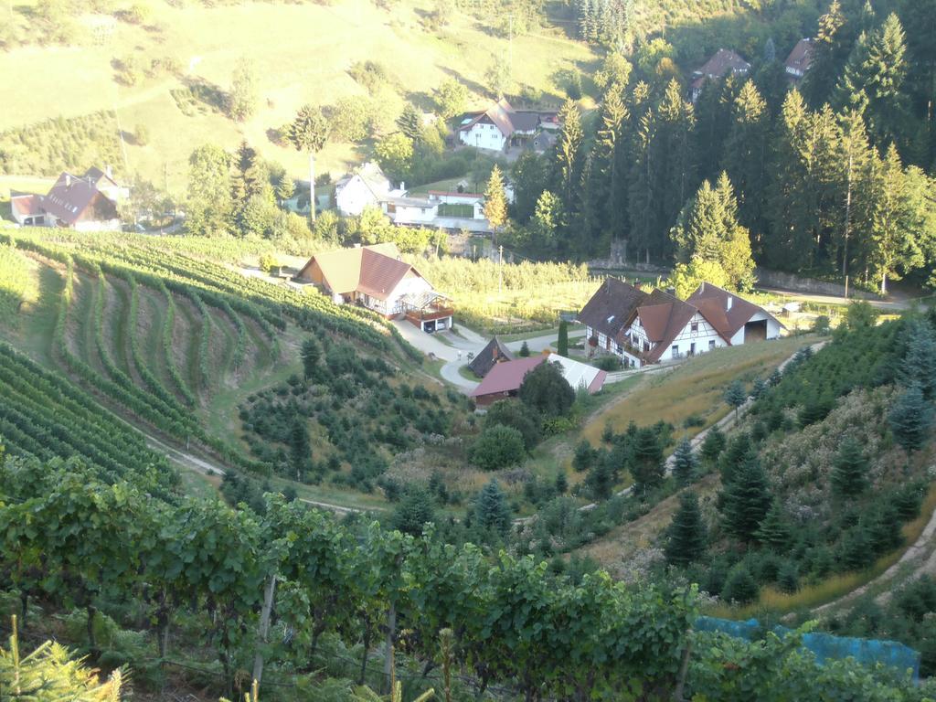 Steinhof Apartment Oberkirch  Ngoại thất bức ảnh