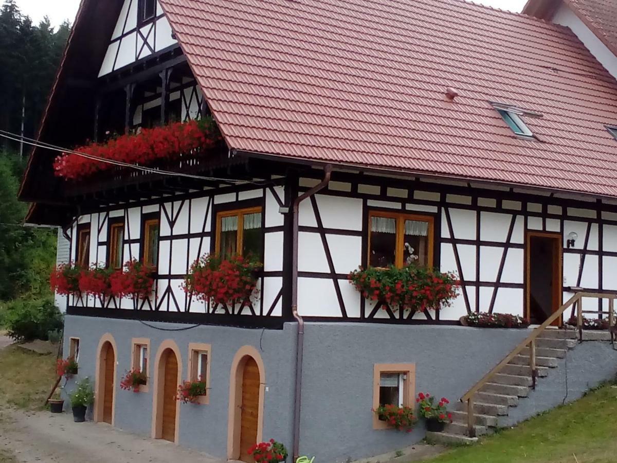 Steinhof Apartment Oberkirch  Ngoại thất bức ảnh